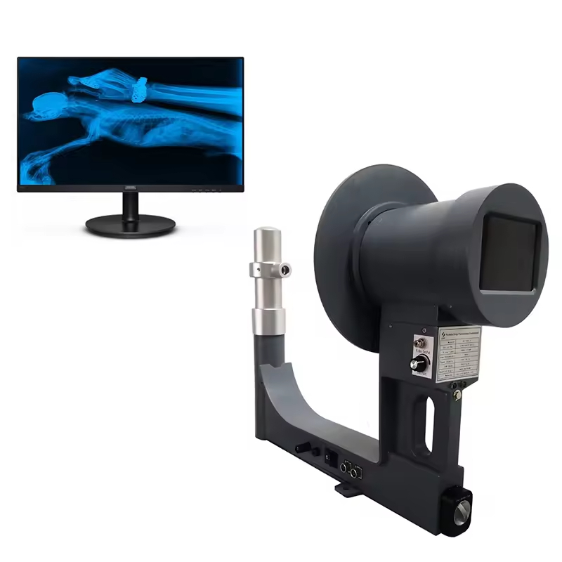 Portable X-ray Fluoroscopy System